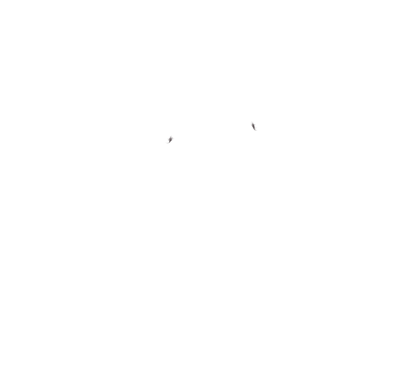 リコシェ～無能力JKがオークと絶頂バトル～